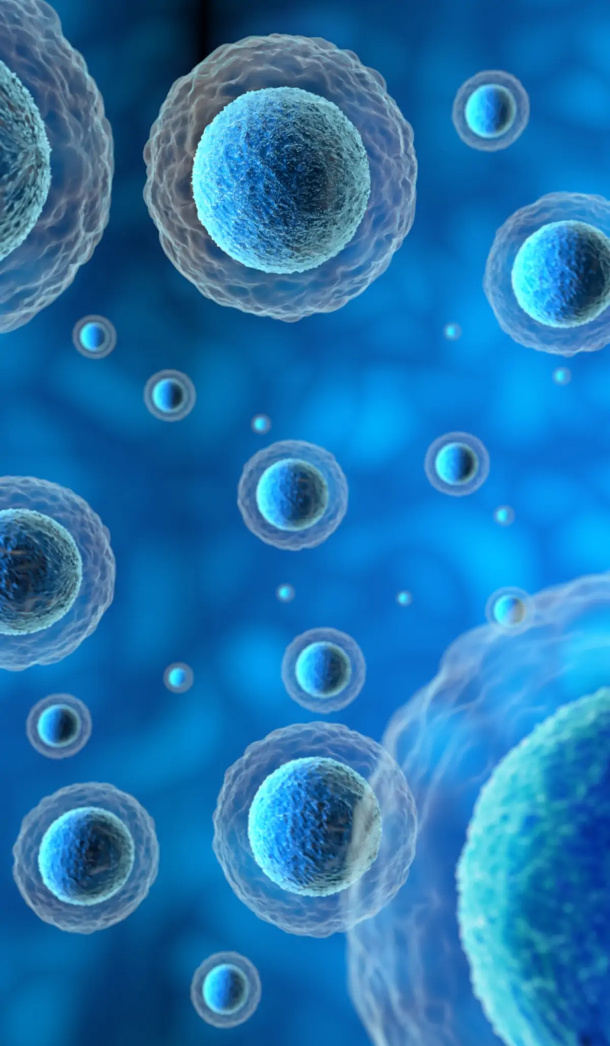 human-cells-in-a-blue-background-3d-illustration-PDXE9Z3 Liposomale